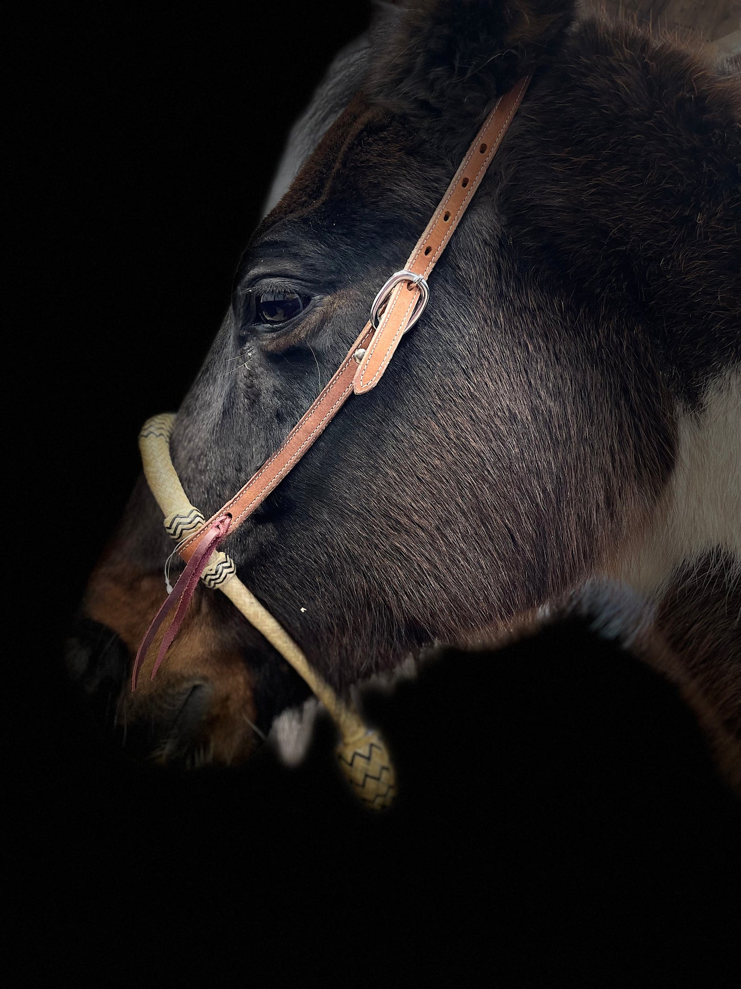 Bosal med mecate