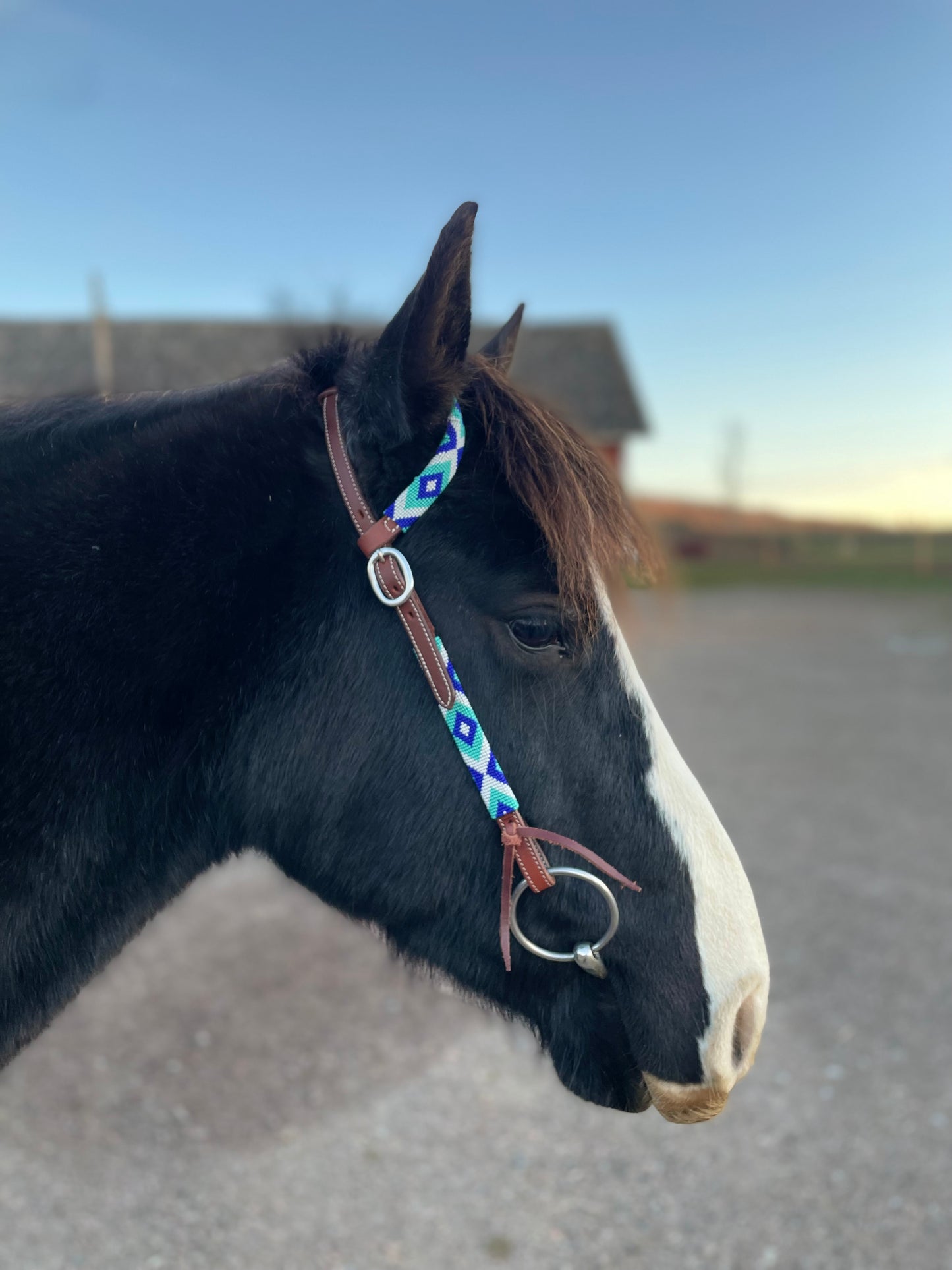wildwestrebell Westernträns med Pärlor – One Ear Headstall i Dark Chestnut & Blå Toner