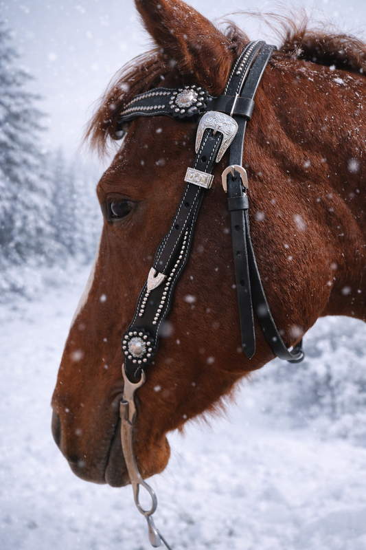 Wildwestrebell  träns futurity svart Westernträns med Pannband, Silverdetaljer & Conchos – Perfekt för Show och Vardag