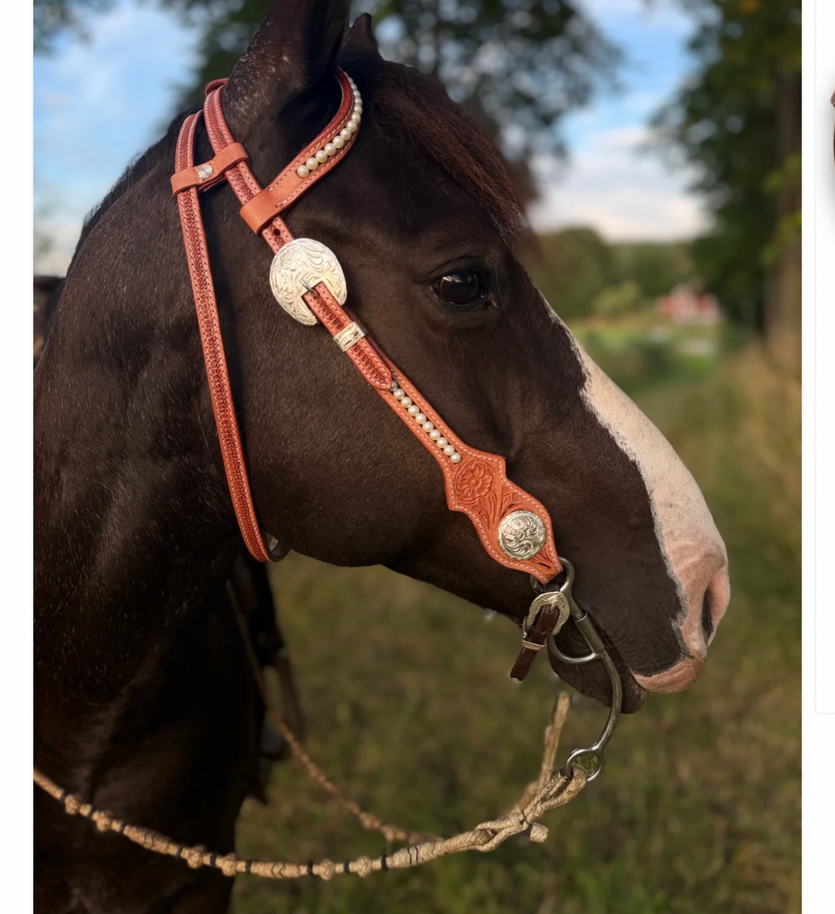 WWR träns western träns med silver och pärl  detaljer