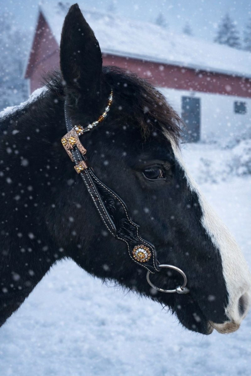 wildwestrebell westernträns pärlöra och gula glitter chonchos  träns beewee yellow