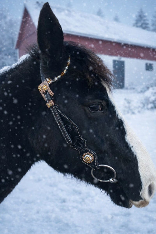 wildwestrebell westernträns pärlöra och gula glitter chonchos  träns beewee yellow