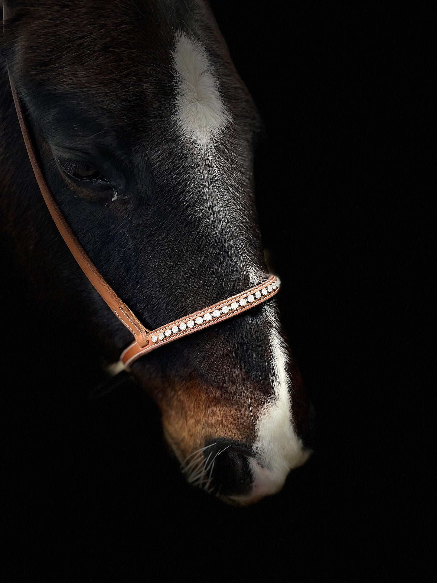 wildwestrebell Moutshutter Nosgrimma med vita strasstenar chestnut ljus