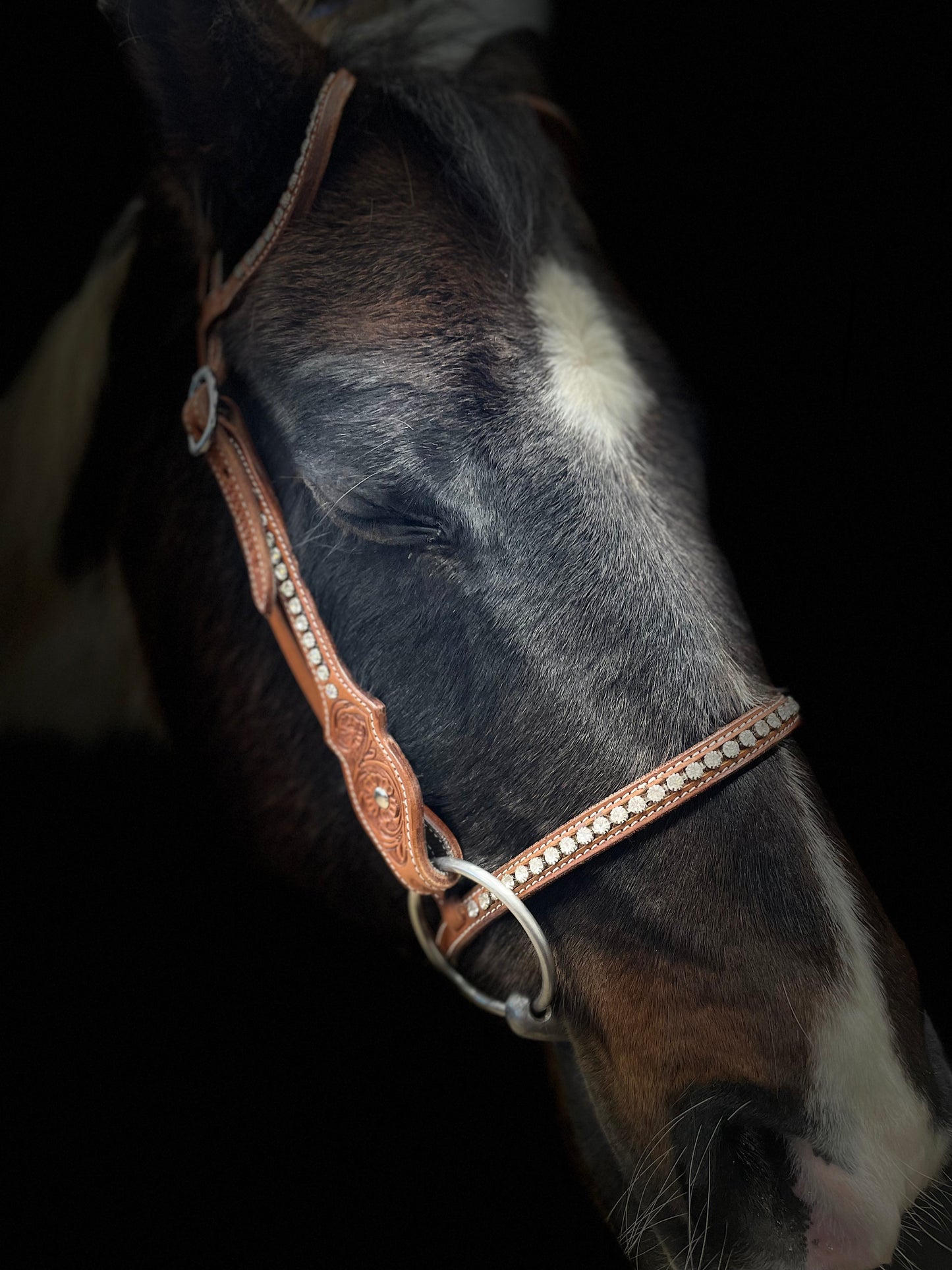 wildwestrebell Moutshutter Nosgrimma med vita strasstenar chestnut ljus