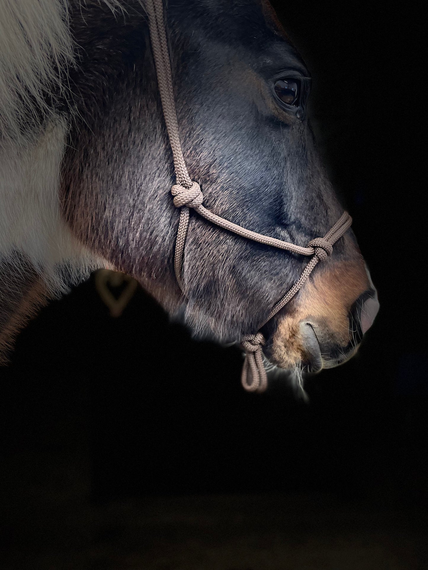 wildwestrebell  Rep grimma i olika färger grimma