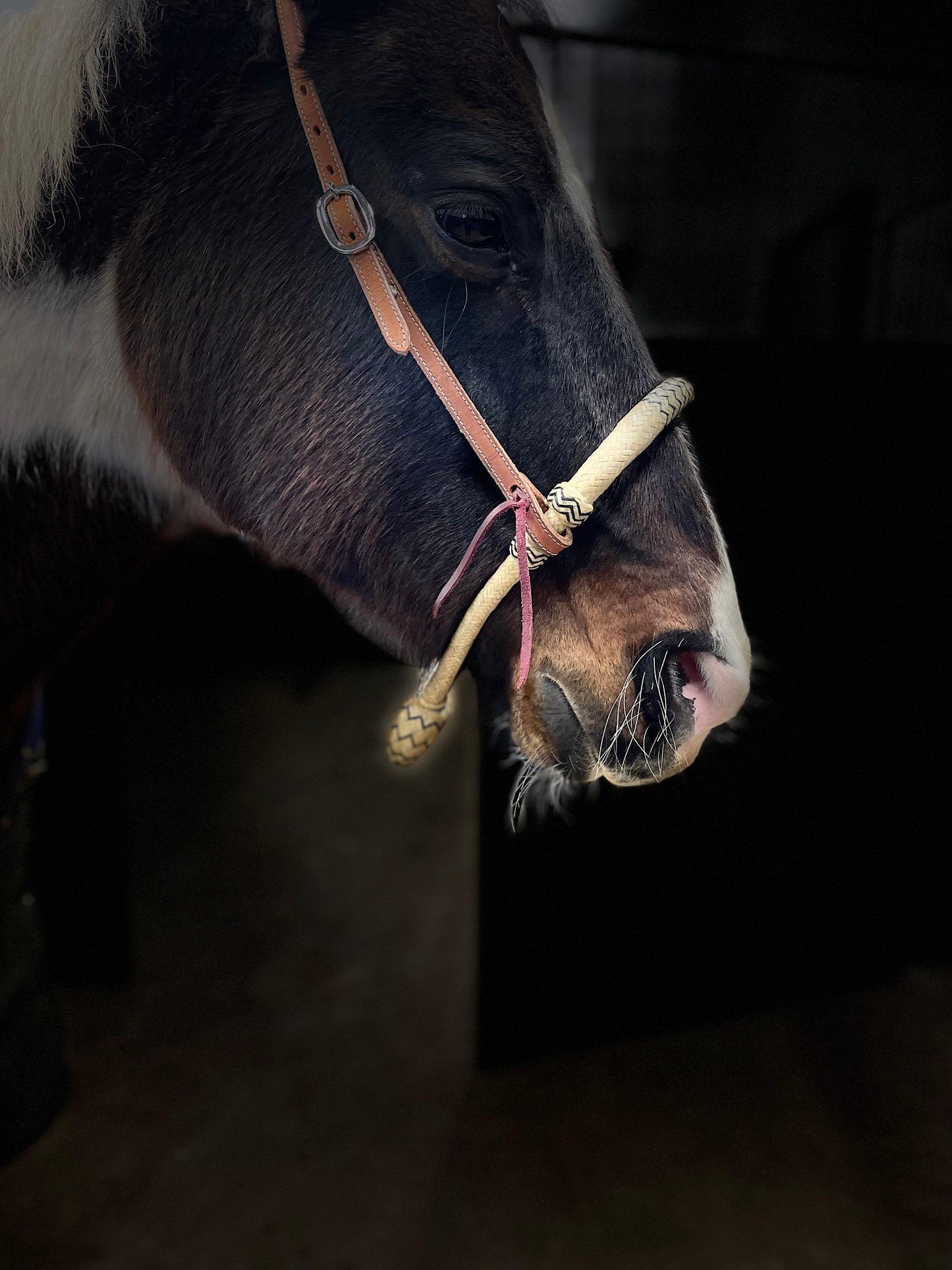 Bosal med mecate