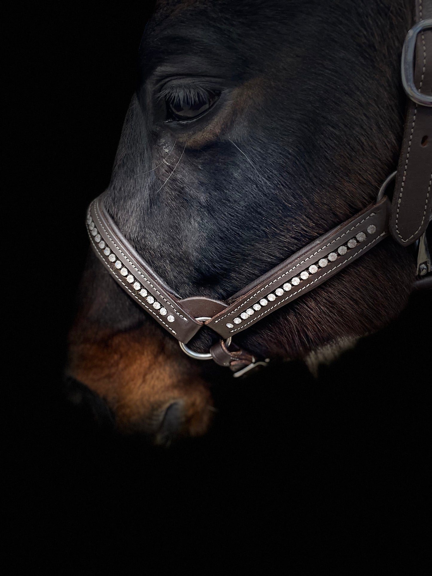 Wildwestrebell grimma med diamanter showgrimma mörkbrun