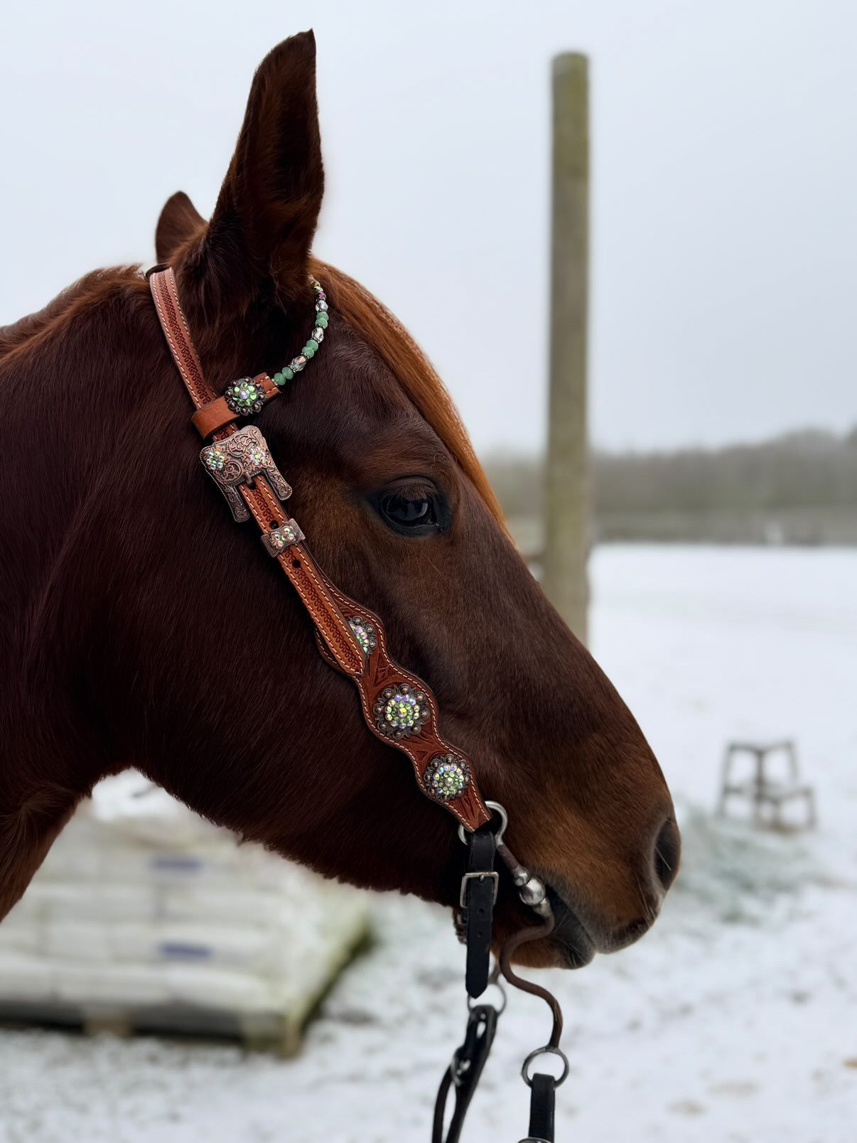 wildwestrebell Ett snyggt showträns med one ear dekorerat med pärlor, chonchos grönt