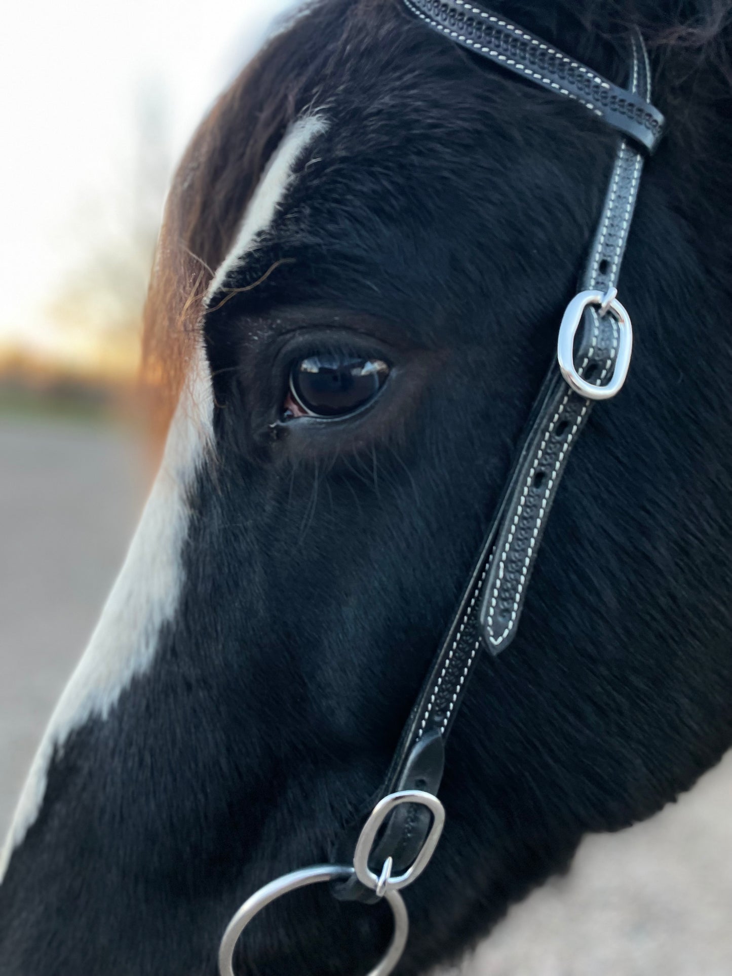 wildwestrebell westernträns med snabb fästen till bett träns training black piece