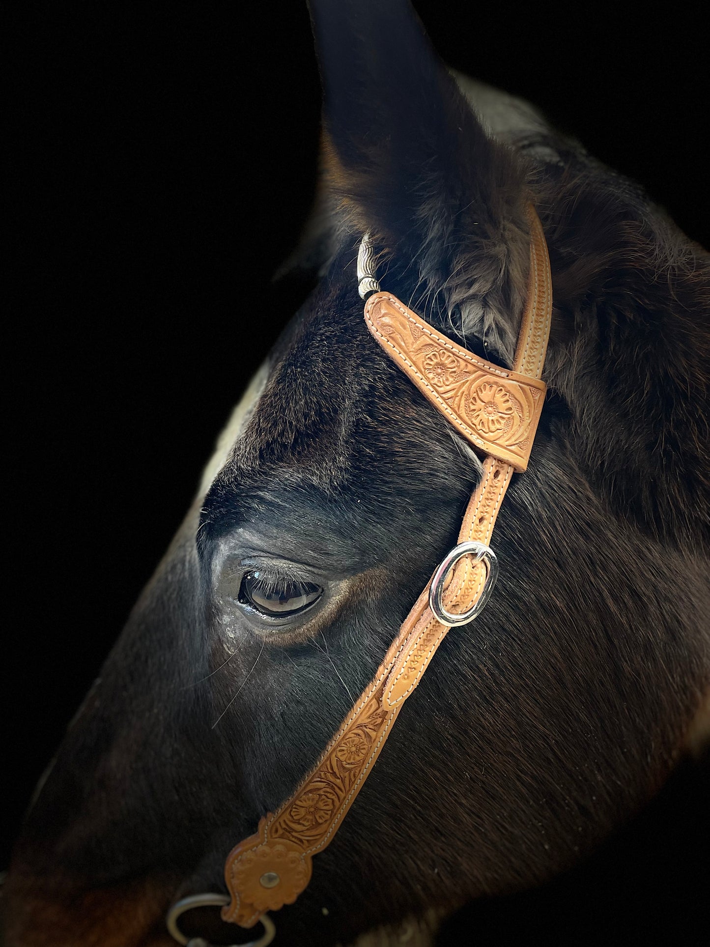 Wildwestrebell Westernträns med två one ears silver ljus brun