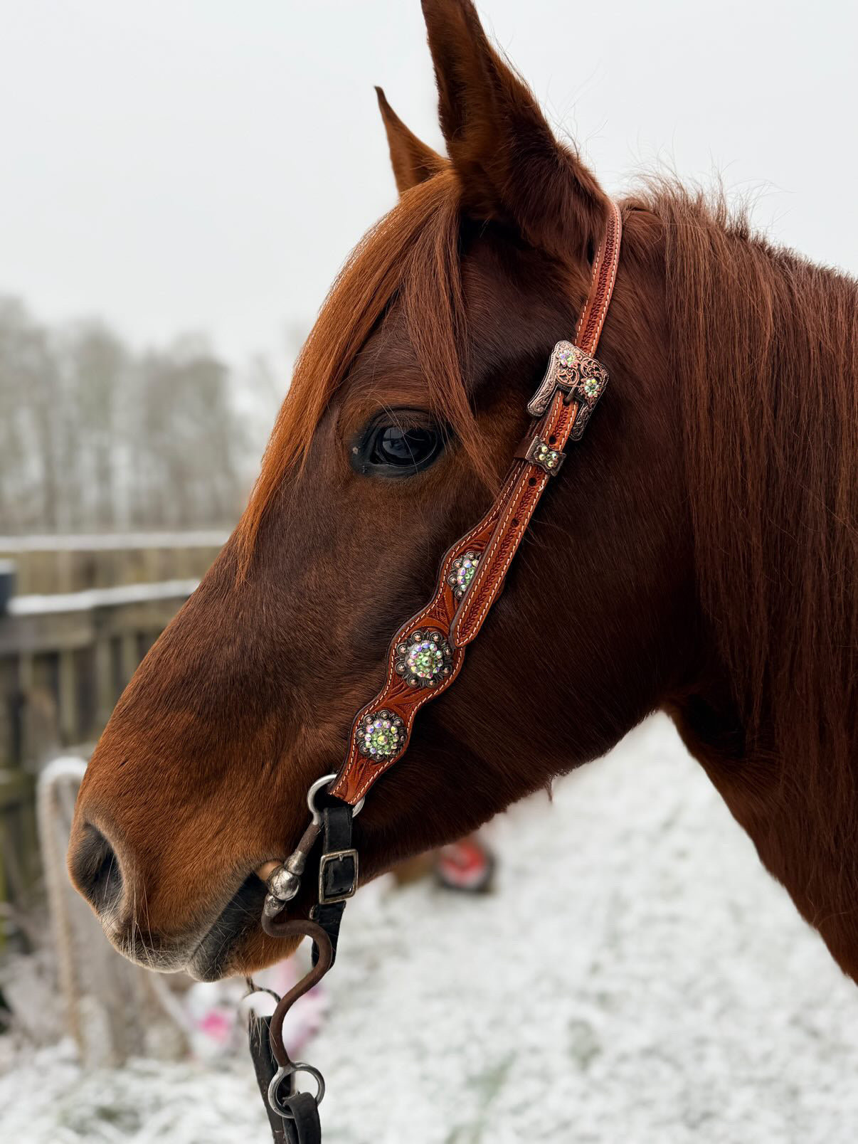wildwestrebell Ett snyggt showträns med one ear dekorerat med pärlor, chonchos grönt