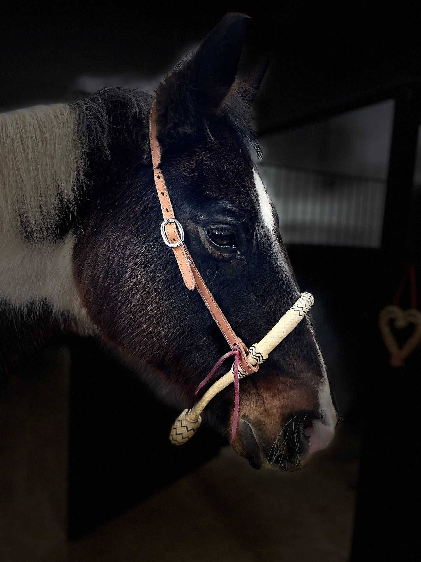 Bosal med mecate