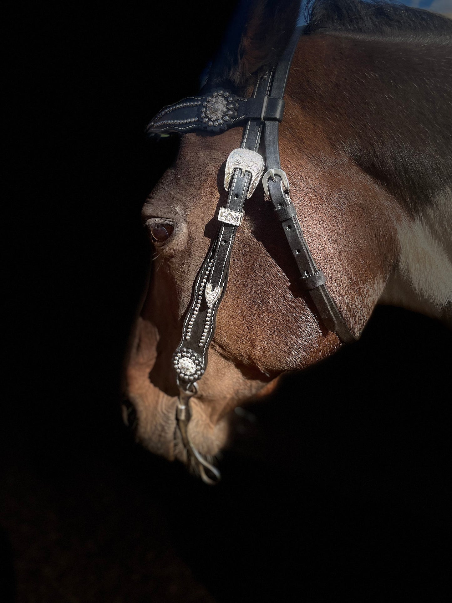 Wildwestrebell  träns futurity svart Westernträns med Pannband, Silverdetaljer & Conchos – Perfekt för Show och Vardag