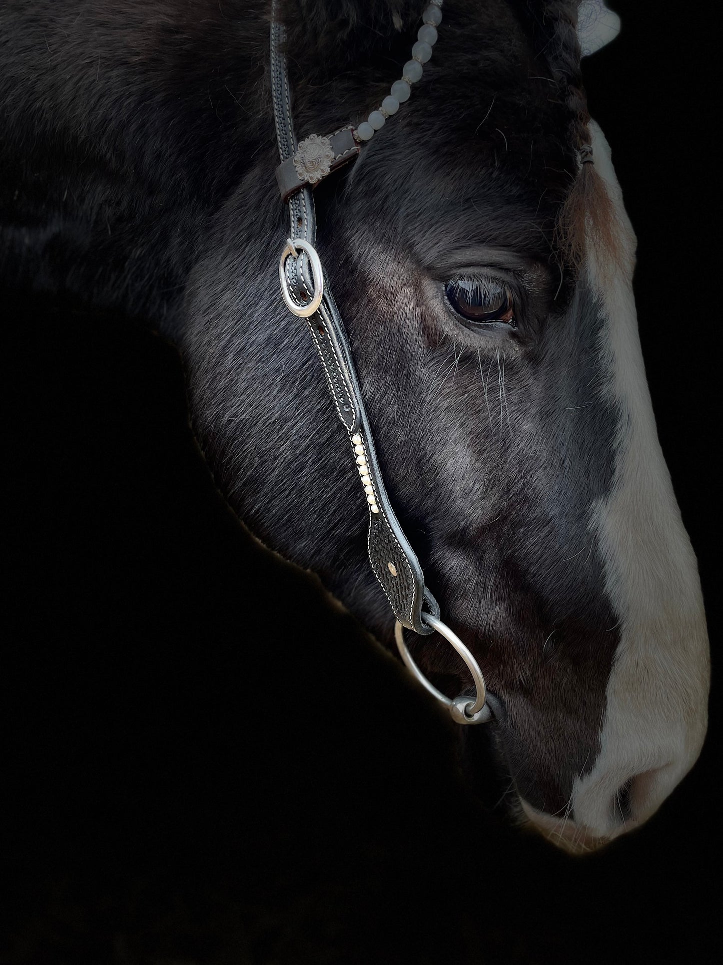 wildwestrebell westernträns black show pearls dreaming 2 ears