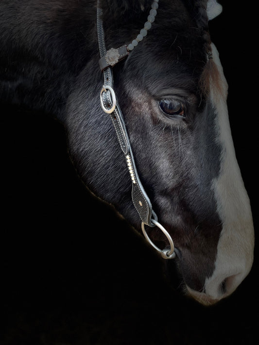 wildwestrebell westernträns black show pearls dreaming 2 ears