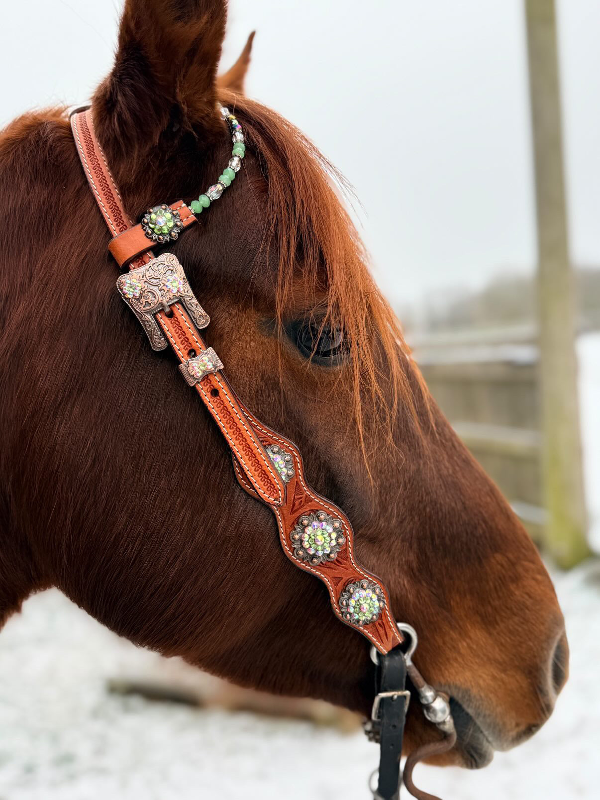 wildwestrebell Ett snyggt showträns med one ear dekorerat med pärlor, chonchos grönt