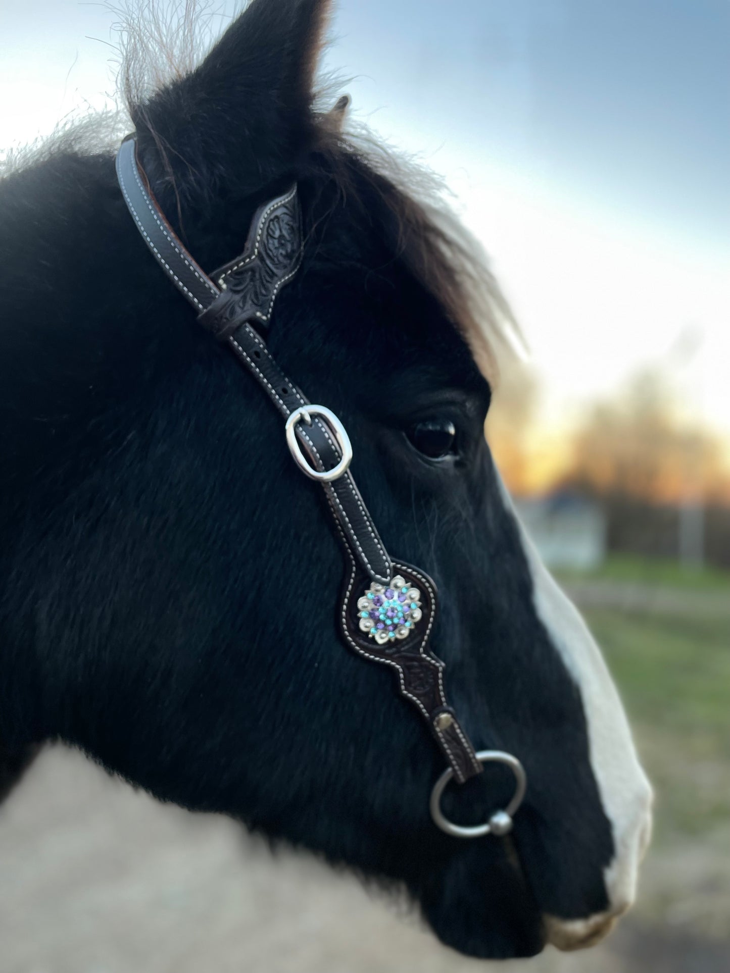 alt="Snyggt westernträns för show och vardagsridning"